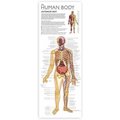 Round World Products Round World Products RWPTS01 Discover The Human Body Tin Set RWPTS01